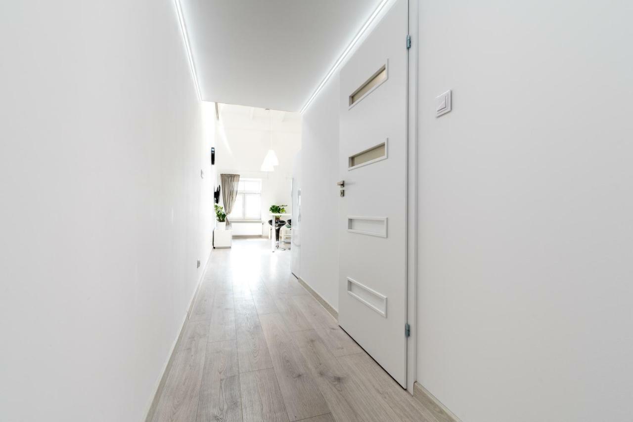 Panorama Twin Loft Superior Apartment Poznan Bagian luar foto